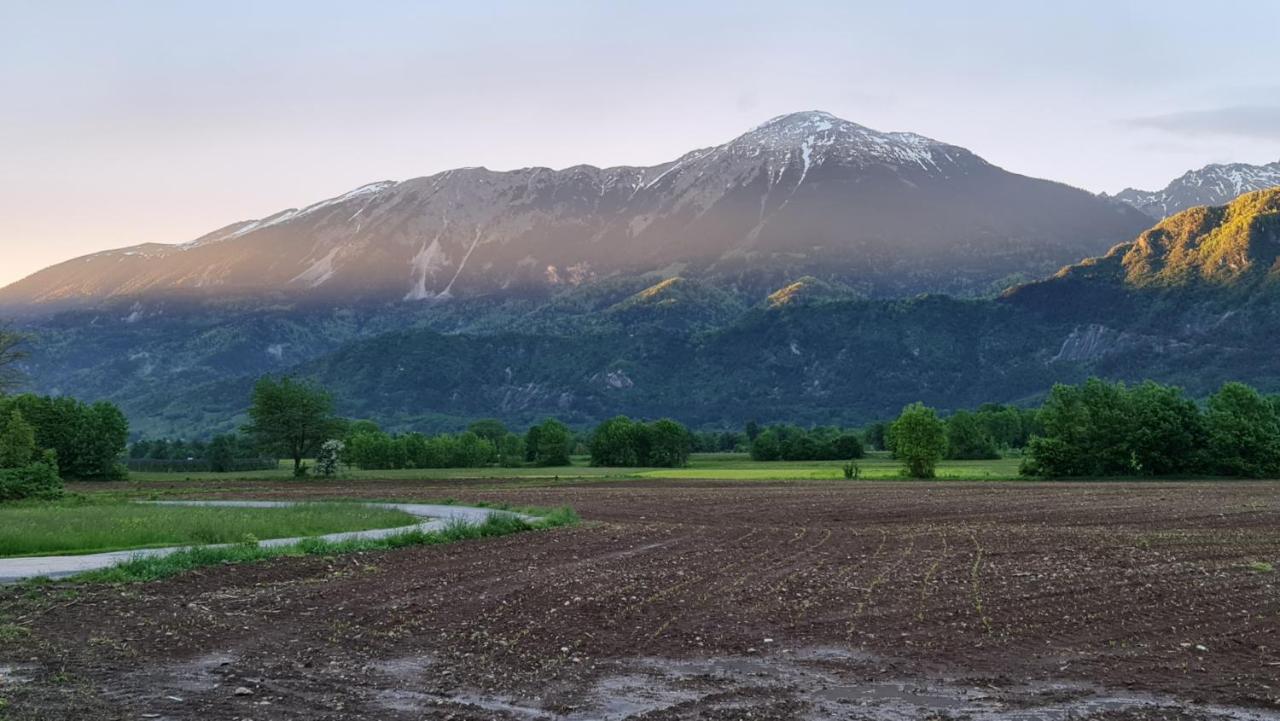 Osvald Maison d'hôtes Zirovnica